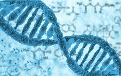 PGD（PGT-M）是什么筛查？PGD适合什么人群？一篇讲清楚PGD（PGT-M）
