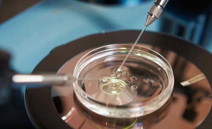 试管婴儿成功率由哪些因素决定？影响IVF成功率的7个关键因素（2026）