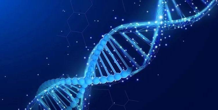 PGS（PGT-A）筛查有没有必要？适合什么人群？一篇讲清楚